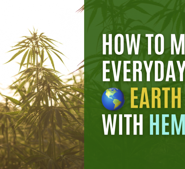 Make every day earth day with hemp hemp pays for peace